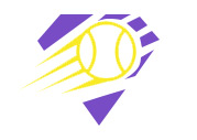 All-In Softball Camps